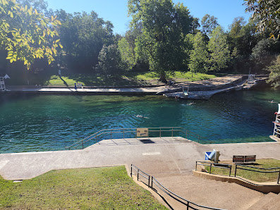 Barton Springs Municipal Pool thumb 4